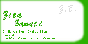 zita banati business card