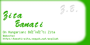 zita banati business card